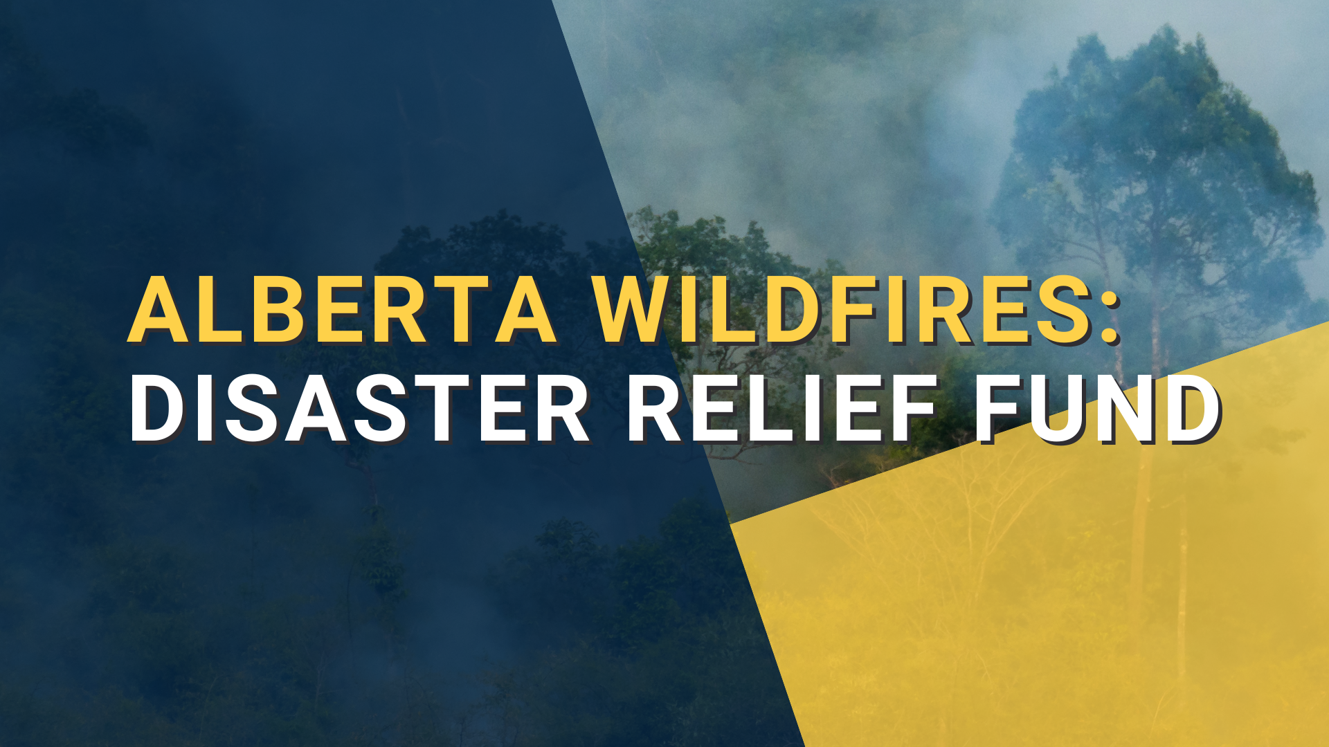 Disaster Relief Fund